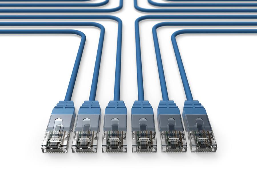 Cordons-de-brassage-bleu